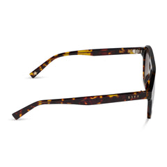 THE COAST - TORTOISE + BROWN GRADIENT + POLARIZED SUNGLASSES