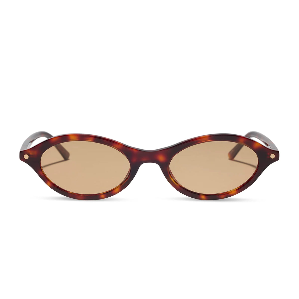 THE CITY - TORTOISE + BROWN TINT + SUNGLASSES